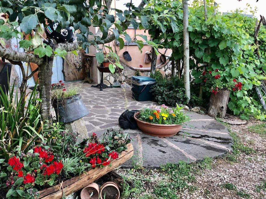 Casa Dell'antica Norba, - Big House Apartment Norma